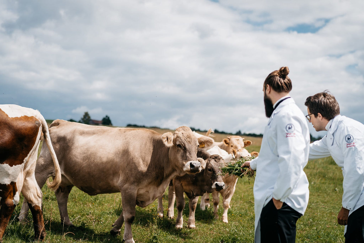 Flanksteak - Freiland Bio Metzger Jäger und Sammler - Freiland Bio Fleisch - Artgerechte Haltung