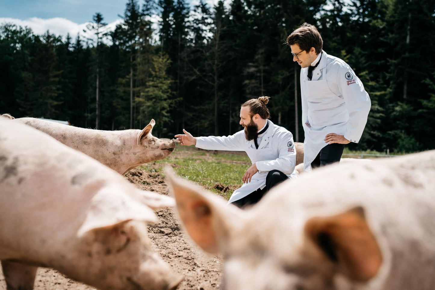 Gulasch (gemischt) - Freiland Bio Metzger Jäger und Sammler - Freiland Bio Fleisch - Artgerechte Haltung