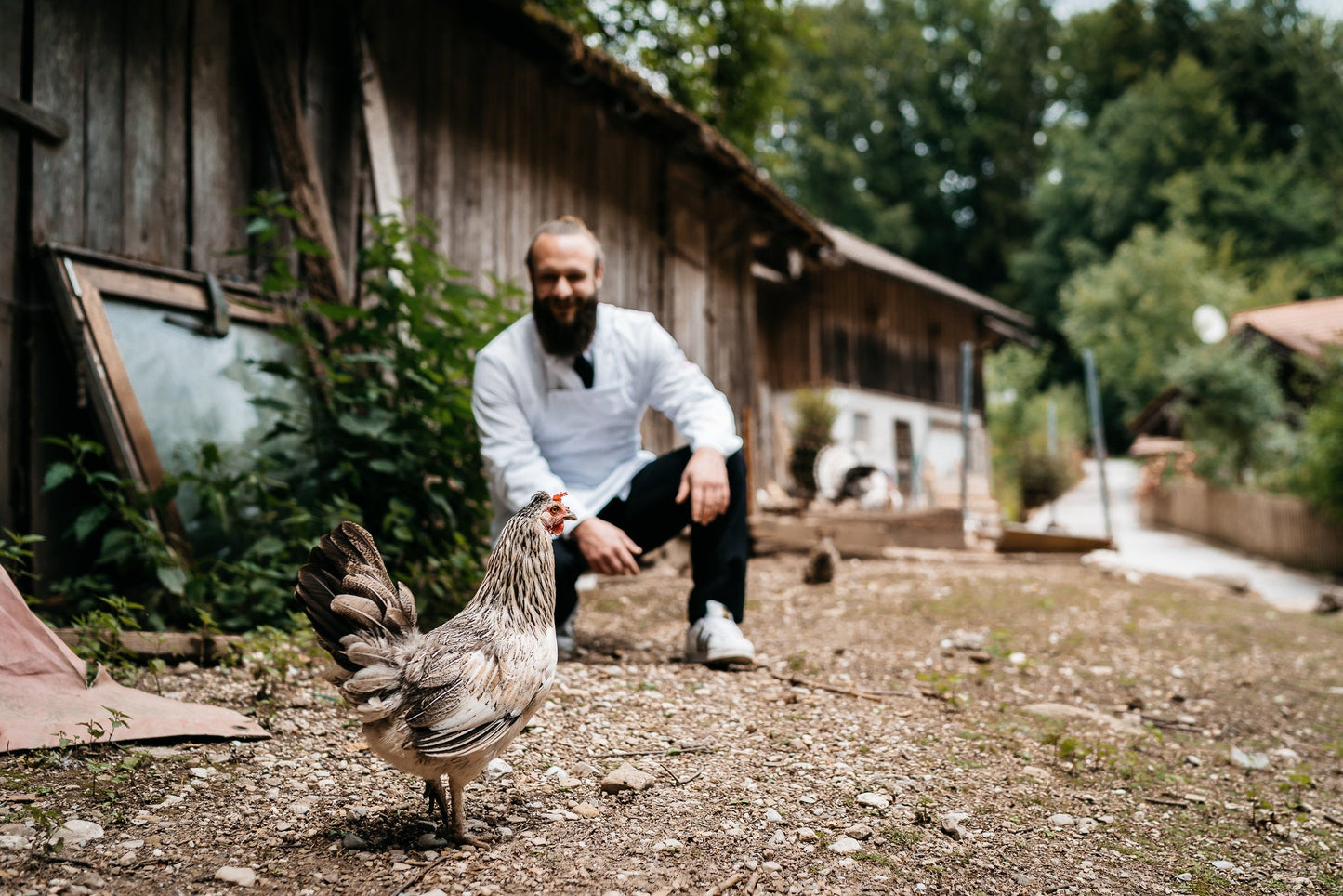 Hähnchenbrust - Freiland Bio Metzger Jäger und Sammler - Freiland Bio Fleisch - Artgerechte Haltung