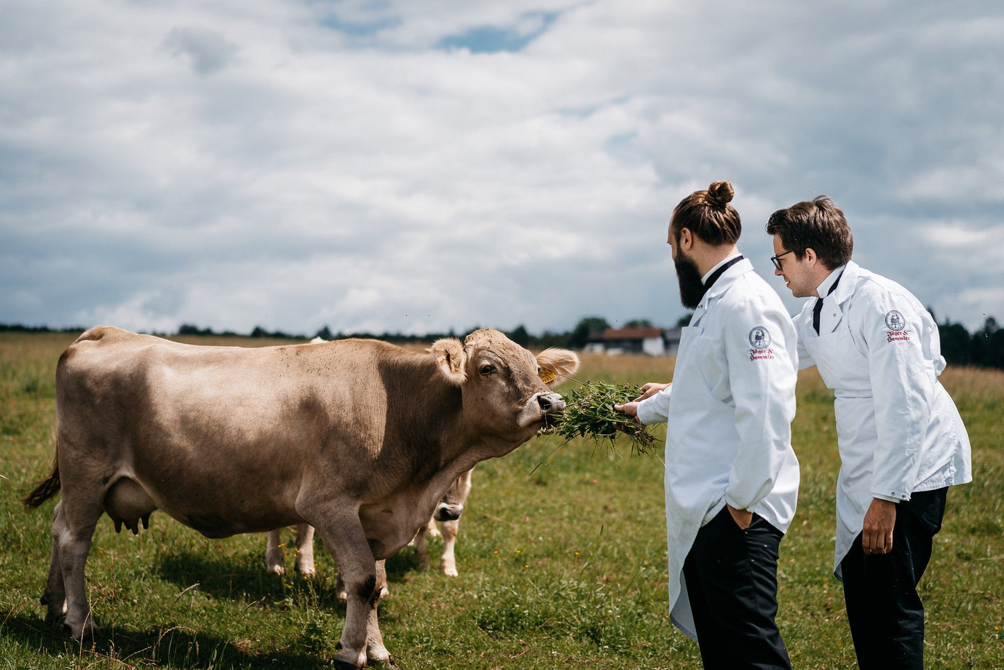 Ochsenfetzen - Freiland Bio Metzger Jäger und Sammler - Freiland Bio Fleisch - Artgerechte Haltung