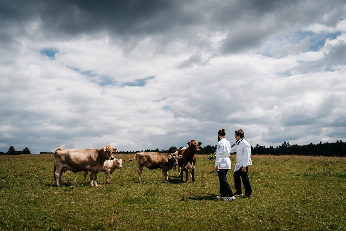 Rib-Eye - Freiland Bio Metzger Jäger und Sammler - Freiland Bio Fleisch - Artgerechte Haltung