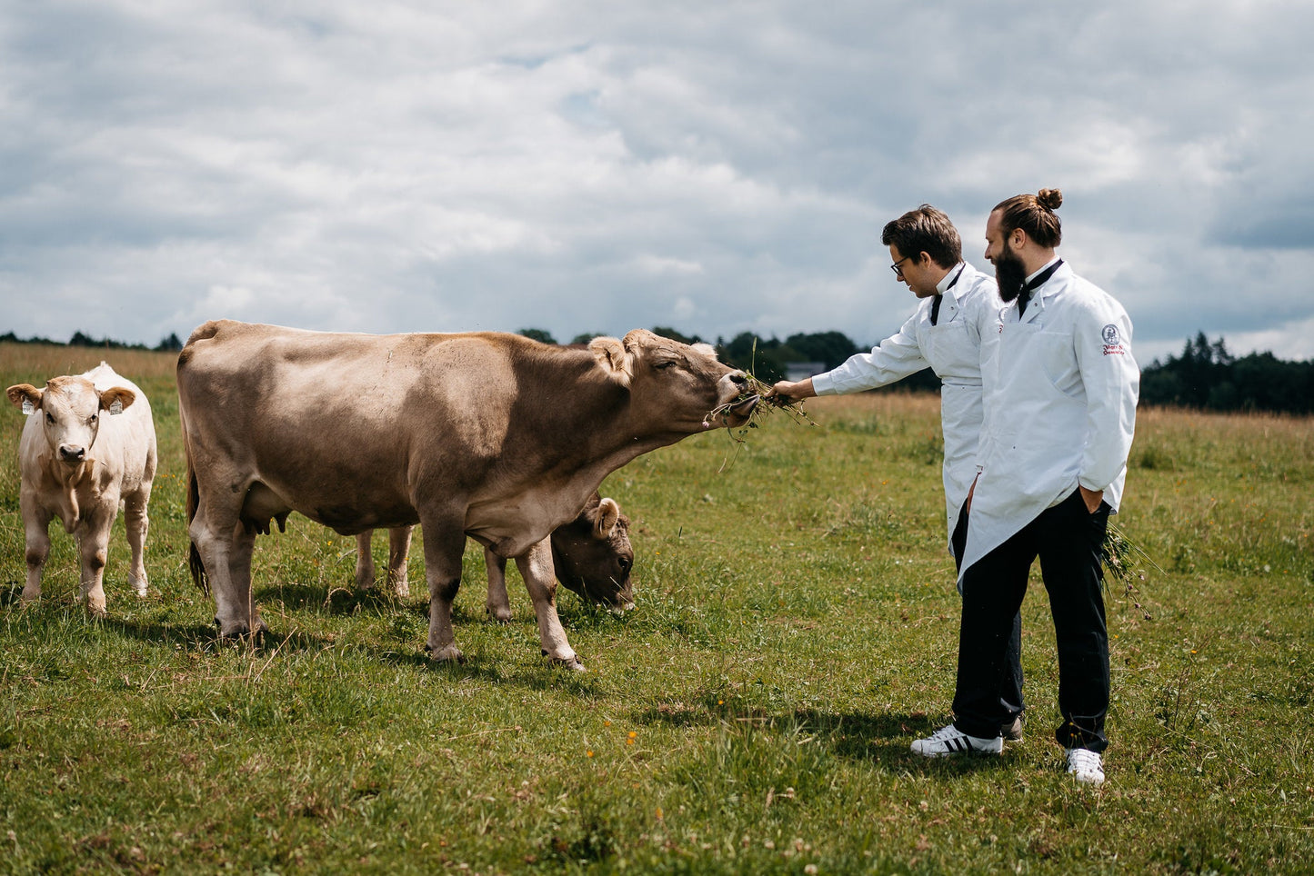 Rinderfiletspitzen - Freiland Bio Metzger Jäger und Sammler - Freiland Bio Fleisch - Artgerechte Haltung