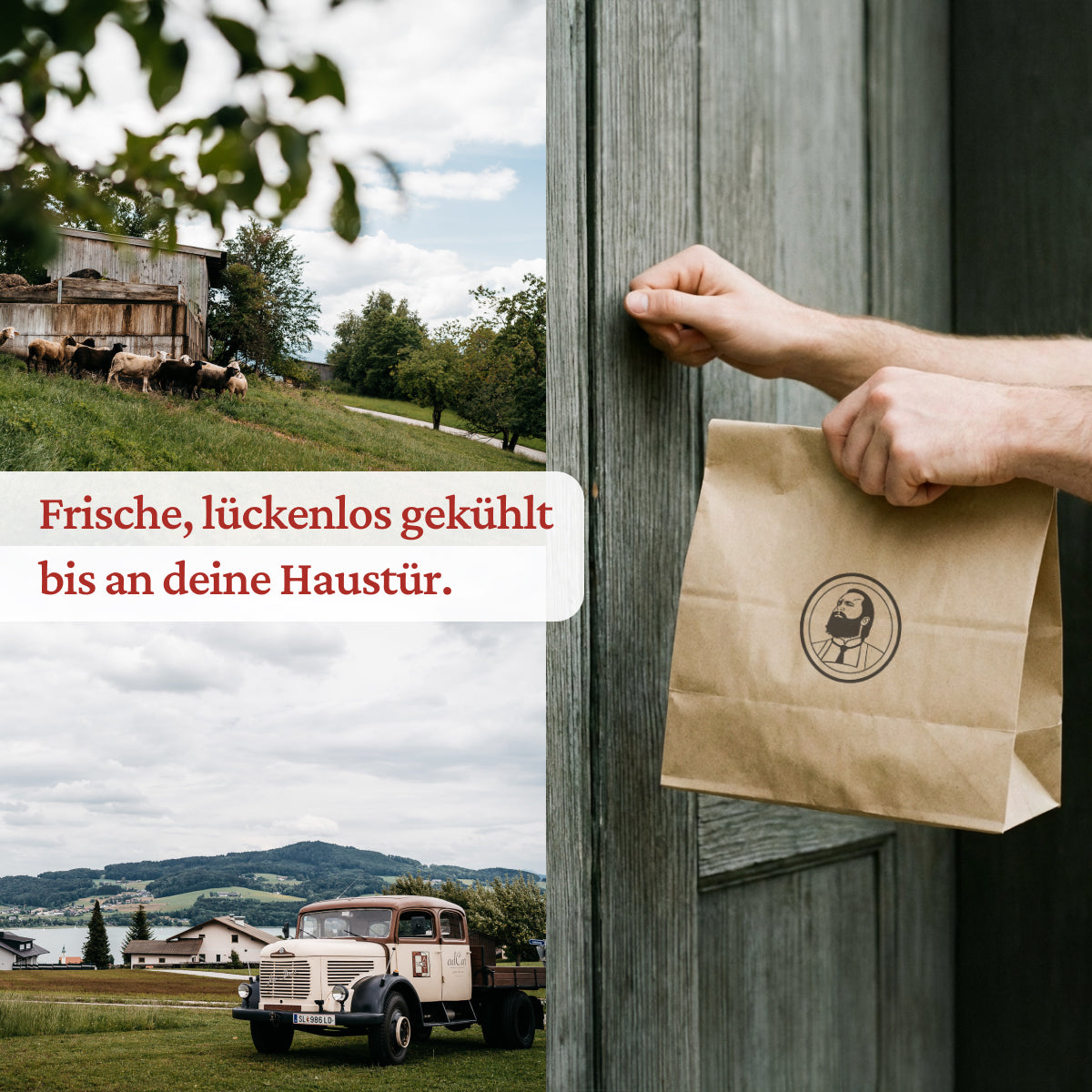 Rouladen vom Rind Premium Qualität Ansicht 7