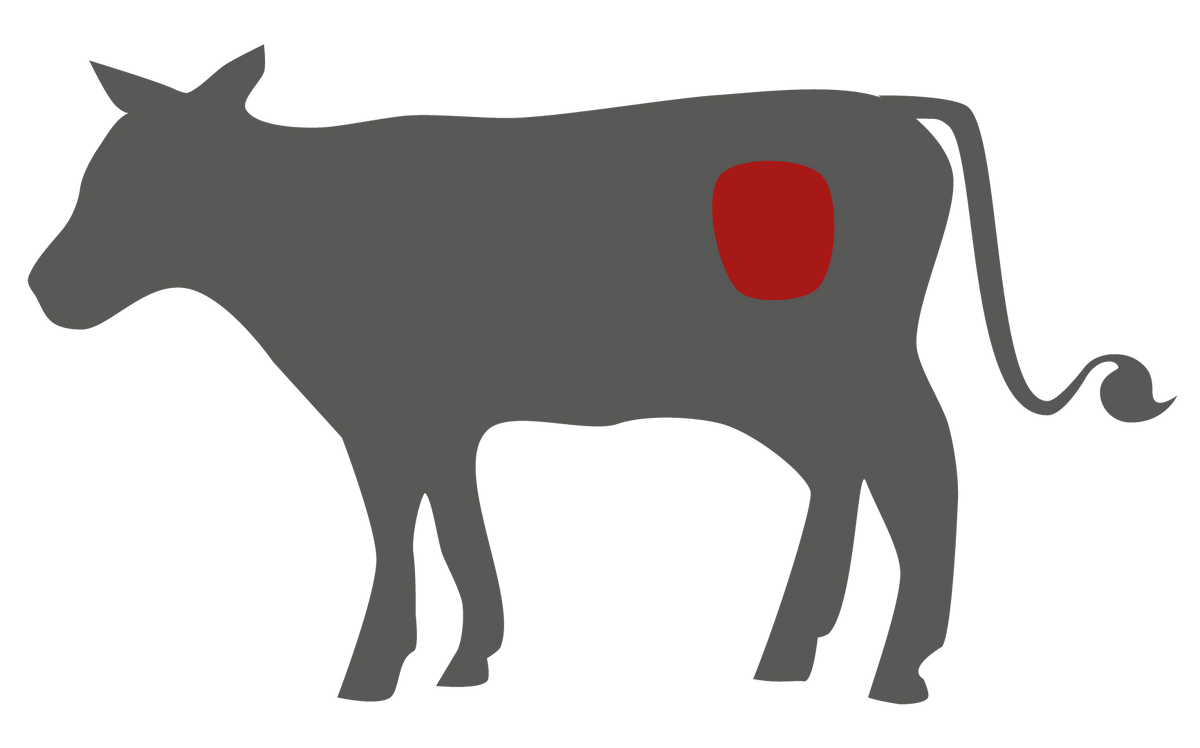 Kalbsnuss – Lage des Zuschnitts am Tier