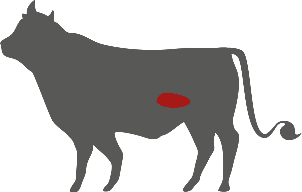 Flanksteak – Lage des Zuschnitts am Tier