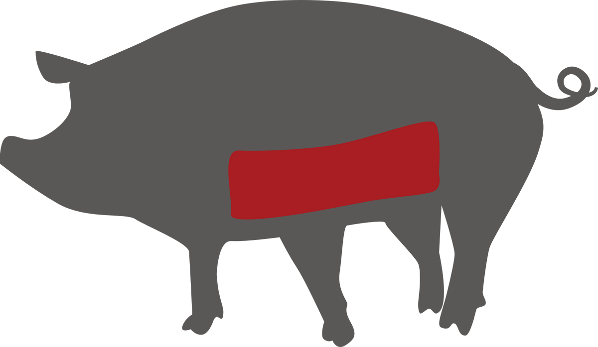 Bio-Schweinebauch – Lage des Zuschnitts am Tier