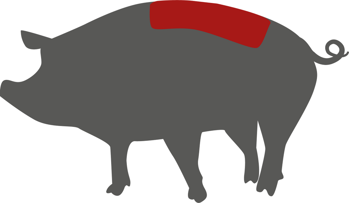 Kotelett vom Schwein – Lage des Zuschnitts am Tier