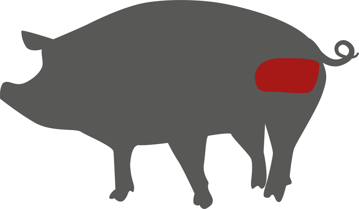 Schweineschnitzel – Lage des Zuschnitts am Tier