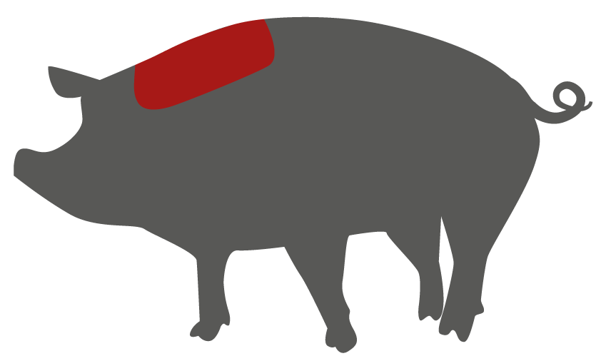 Halsgrat – Lage des Zuschnitts am Tier