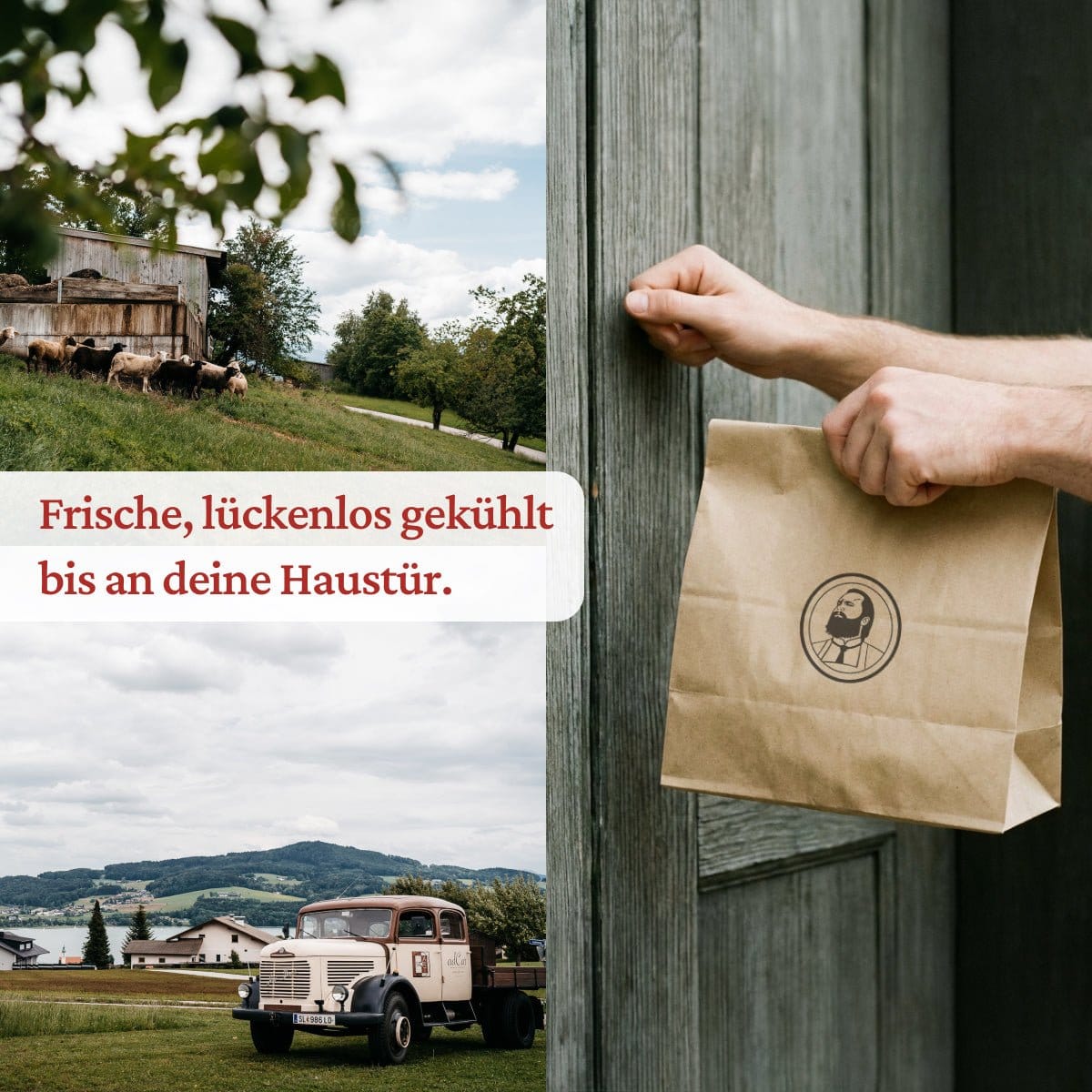 Flache Schulter - Freiland Bio Metzger Jäger und Sammler - Freiland Bio Fleisch - Artgerechte Haltung