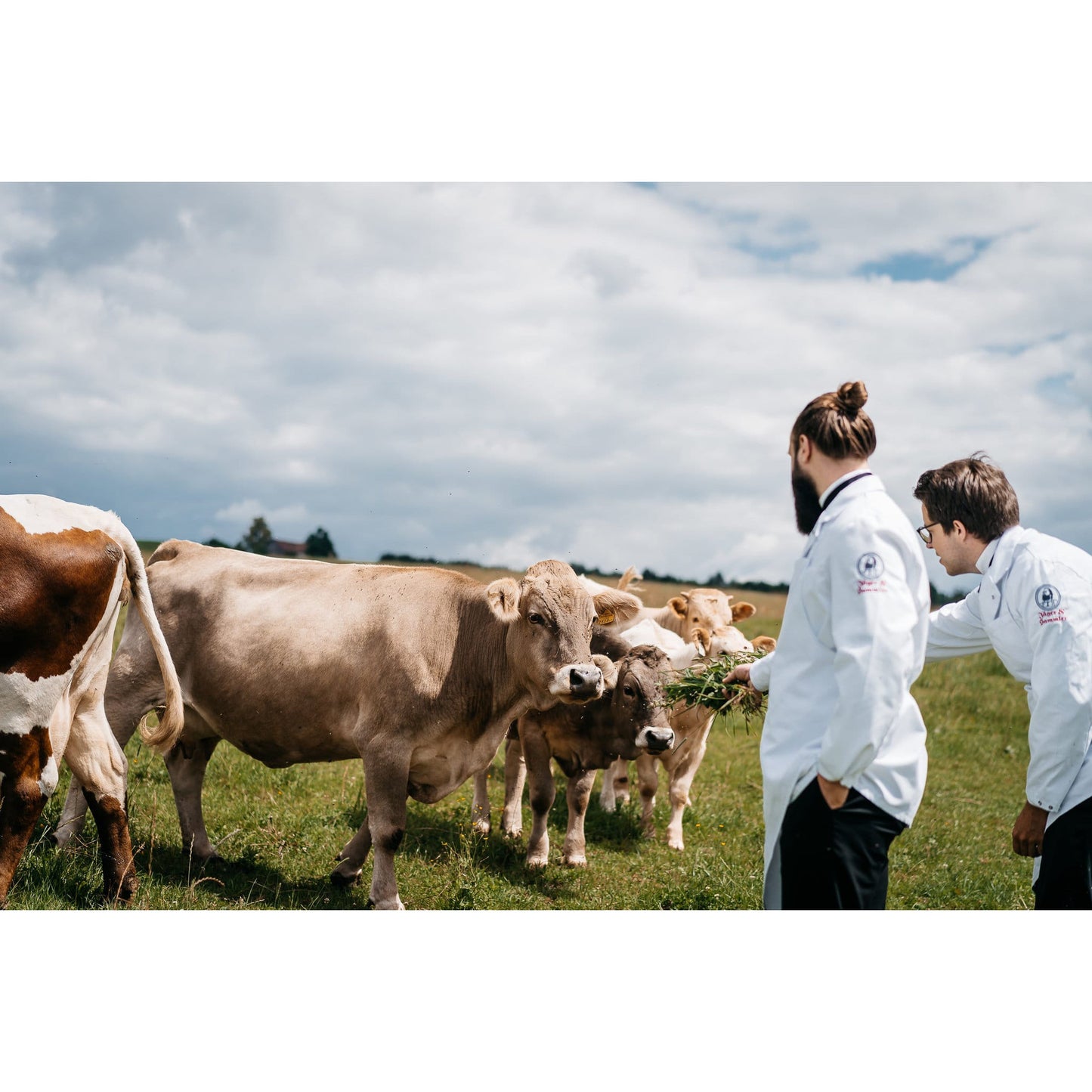 Flanksteak - Freiland Bio Metzger Jäger und Sammler - Freiland Bio Fleisch - Artgerechte Haltung