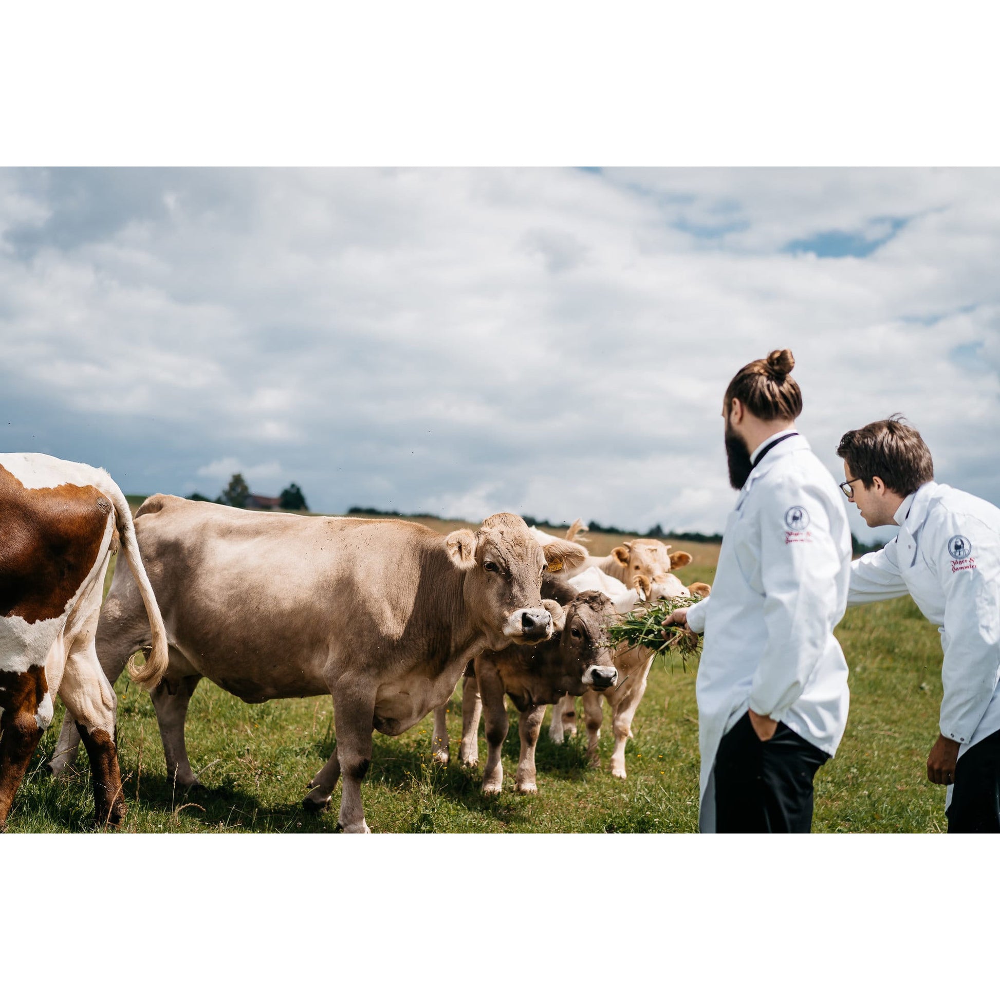 Flanksteak - Freiland Bio Metzger Jäger und Sammler - Freiland Bio Fleisch - Artgerechte Haltung