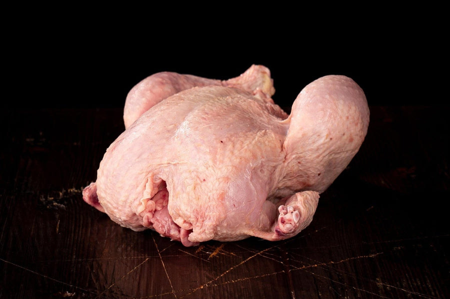 Gockel