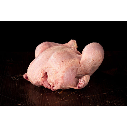 Gockel - Freiland Bio Metzger Jäger und Sammler - Freiland Bio Fleisch - Artgerechte Haltung