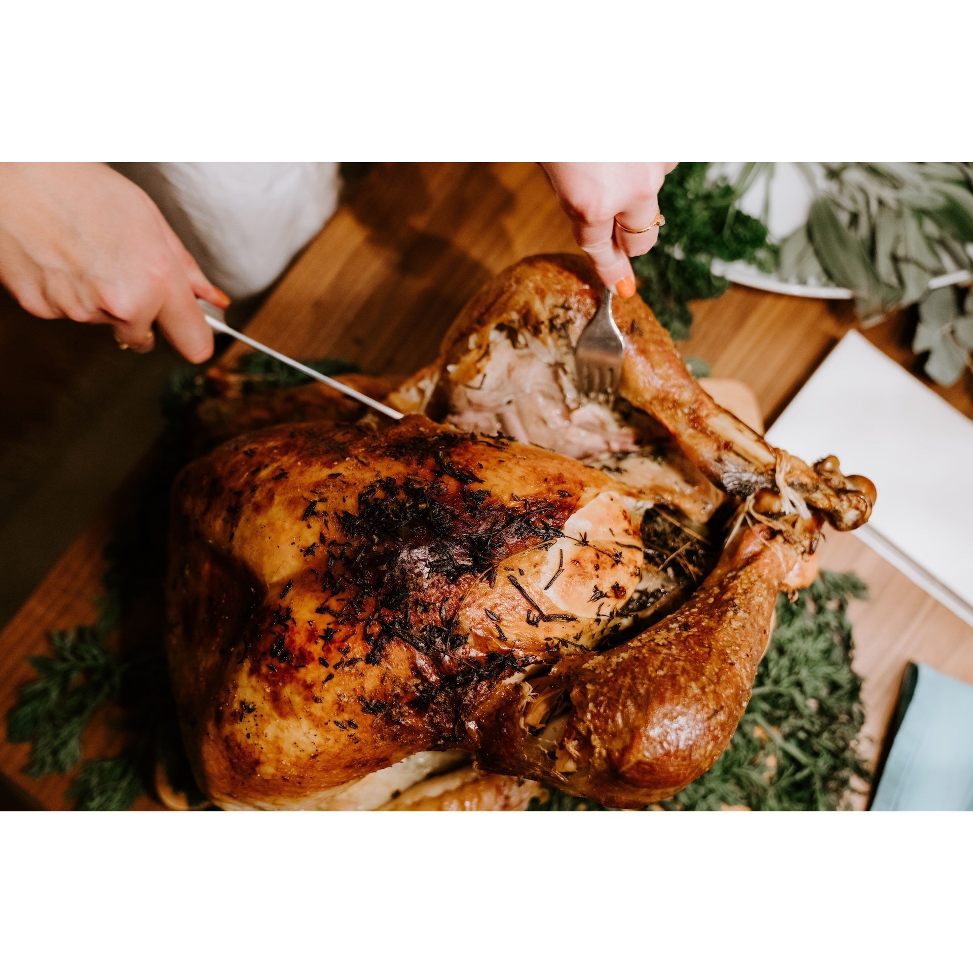 Gockel - Freiland Bio Metzger Jäger und Sammler - Freiland Bio Fleisch - Artgerechte Haltung