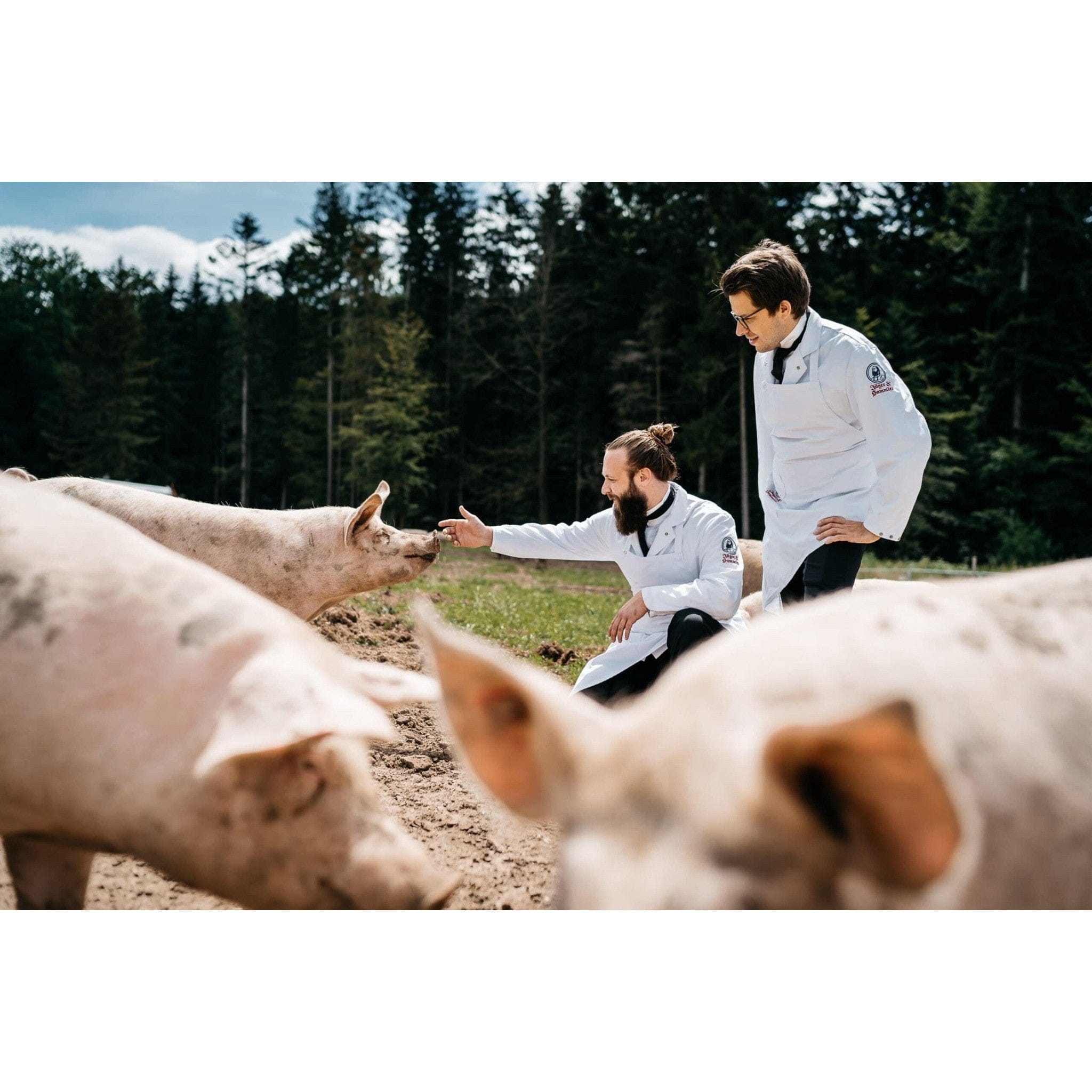 Gulasch (gemischt) - Freiland Bio Metzger Jäger und Sammler - Freiland Bio Fleisch - Artgerechte Haltung