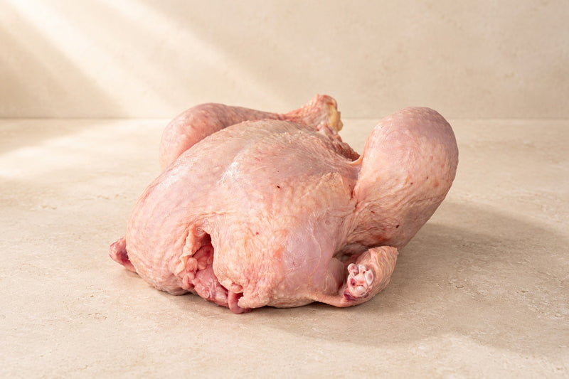 Gockel