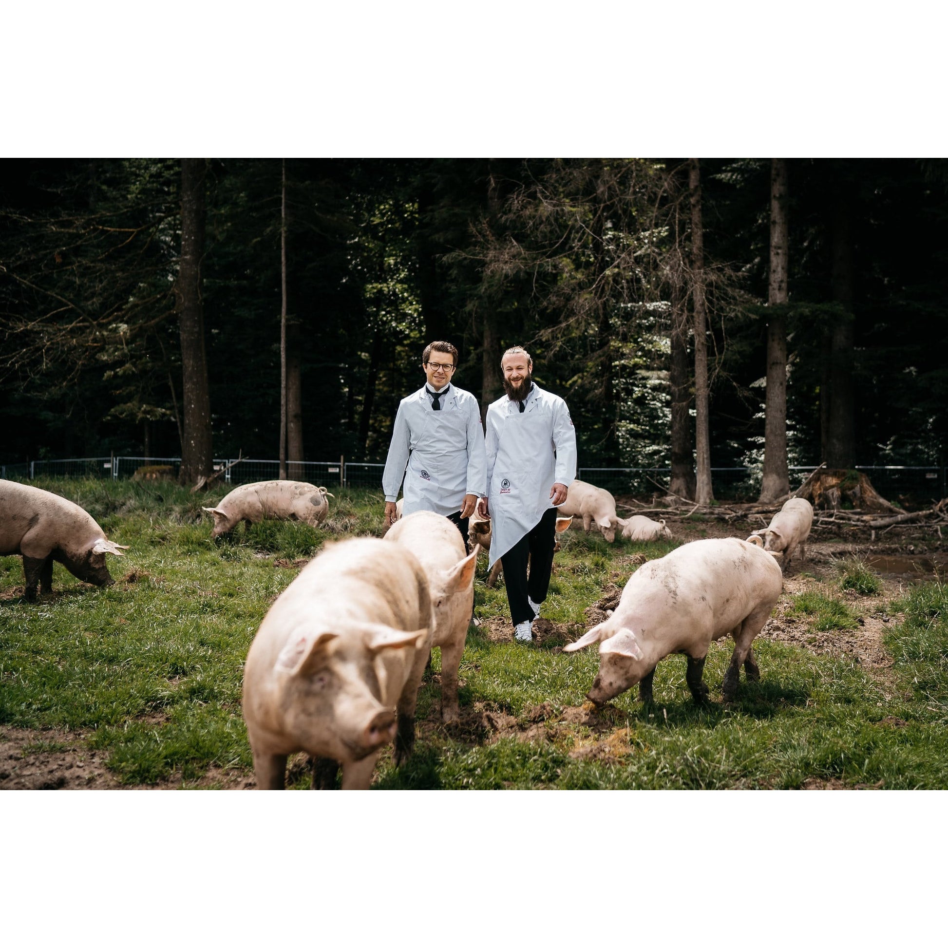 Schweineschnitzel - Freiland Bio Metzger Jäger und Sammler - Freiland Bio Fleisch - Artgerechte Haltung