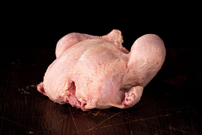 Gockel - Freiland Bio Metzger Jäger und Sammler - Freiland Bio Fleisch - Artgerechte Haltung