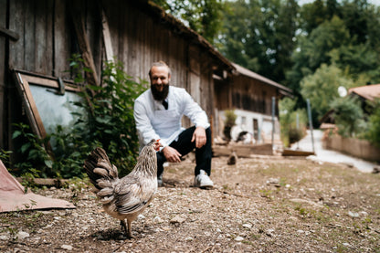 Gockel - Freiland Bio Metzger Jäger und Sammler - Freiland Bio Fleisch - Artgerechte Haltung